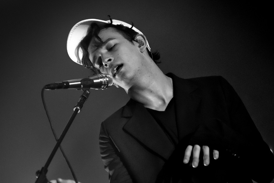 the wombats
